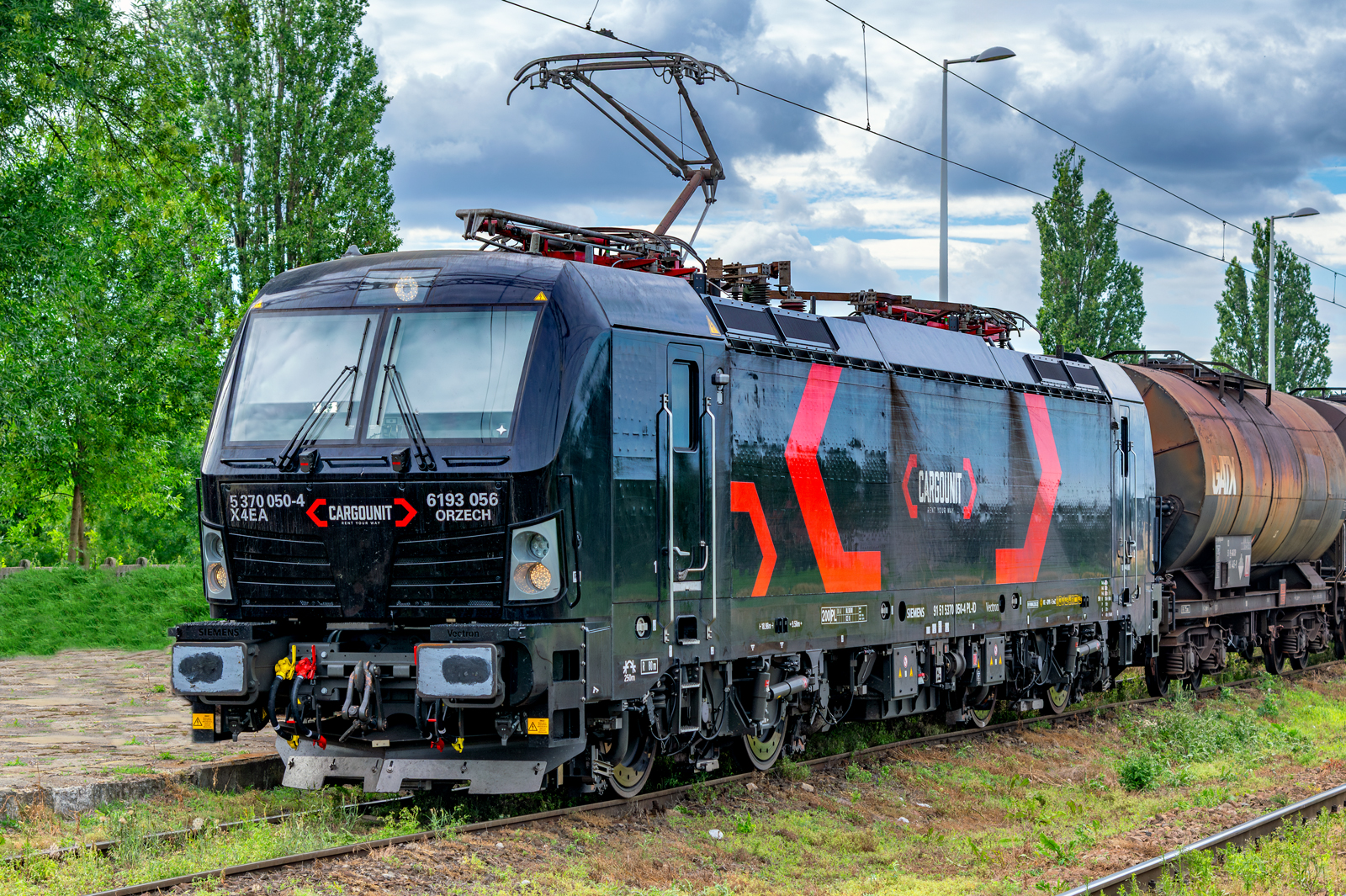 6193-056 'Orzech"
