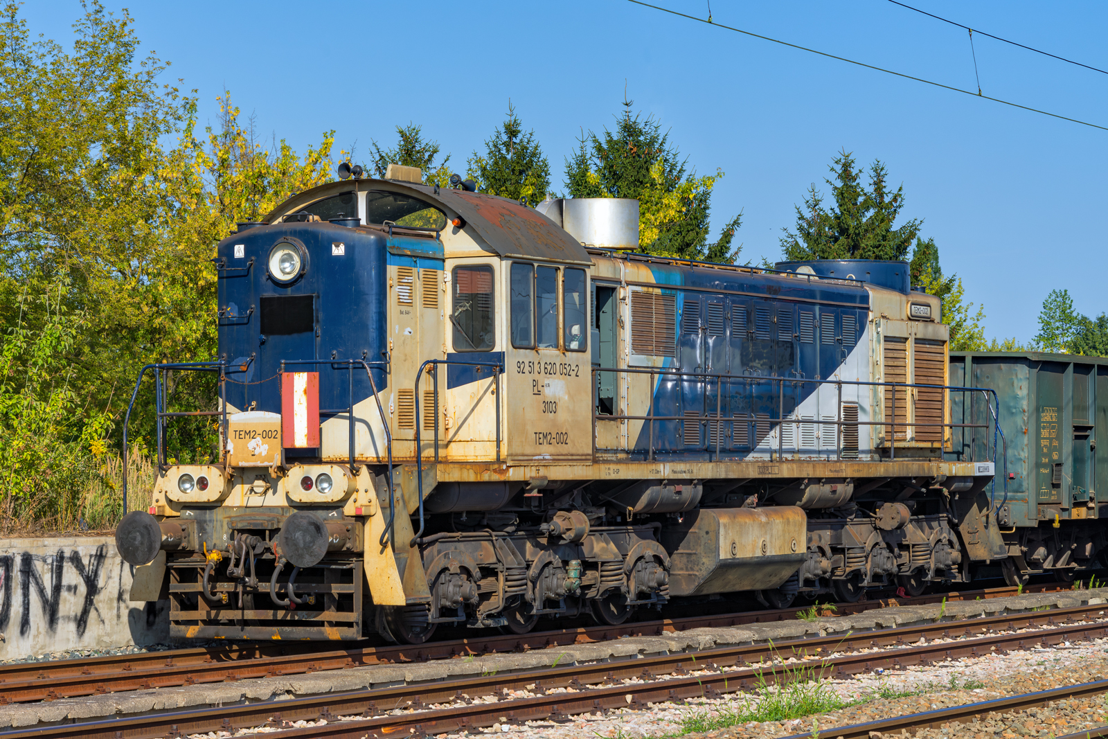 TEM2-002