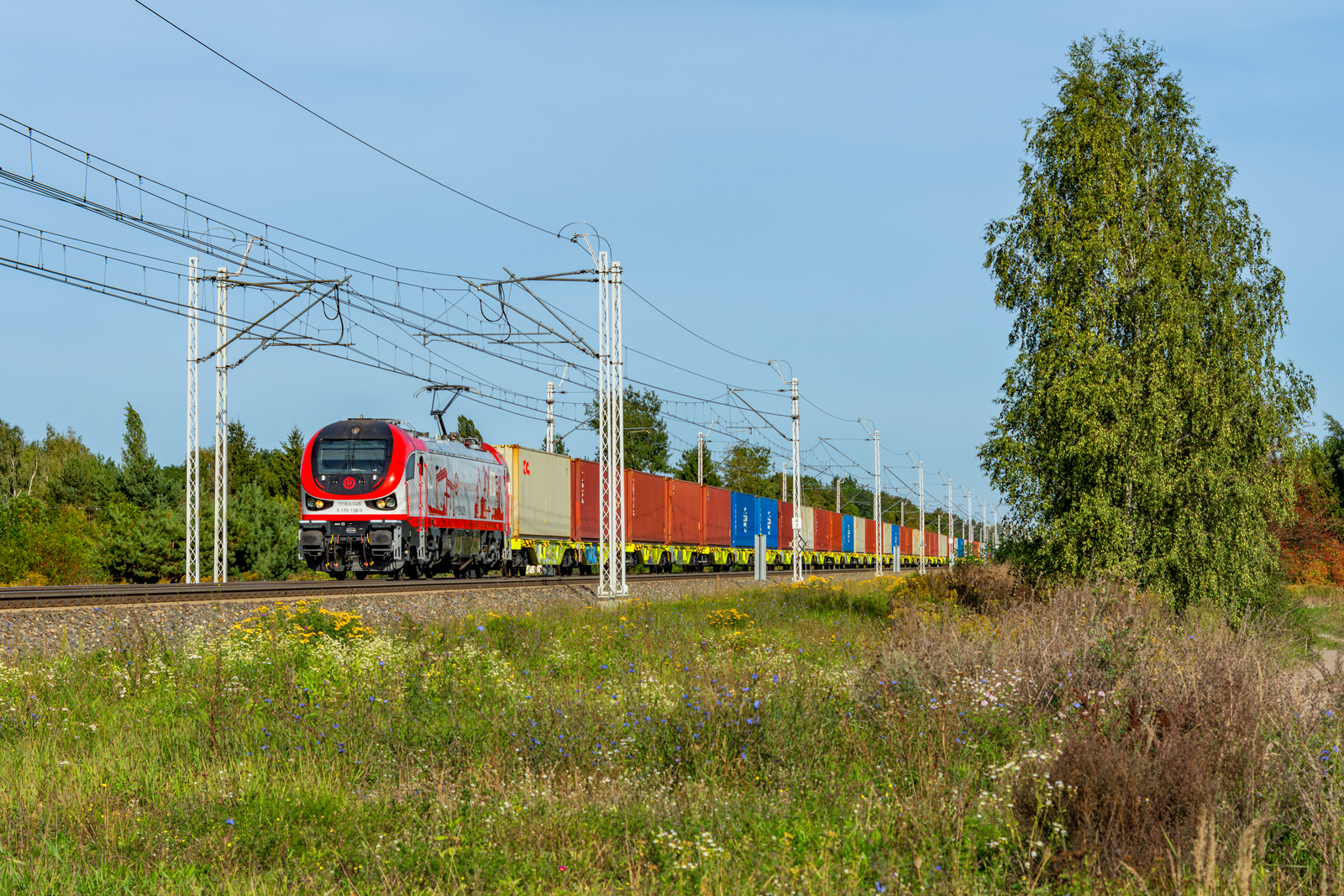 111Ed-028