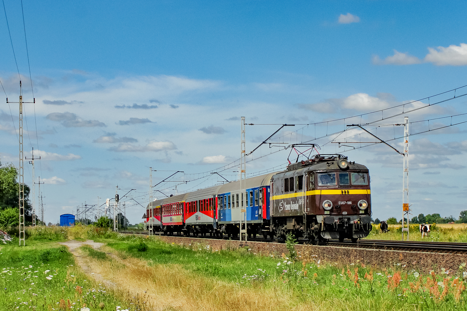 EU07-186