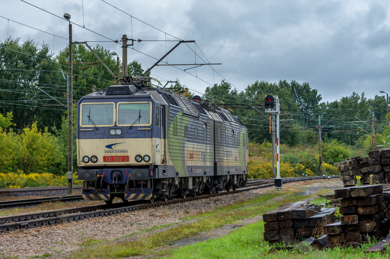 131 009-3 / 131 010-1