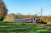 6193-492 "Waldemar"